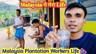 Malaysia Plantation Workers Life ||आज मेरा सब्जी नहीं है ||Malaysia मे मजदूरों का जीवन |