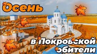 Осенние зарисовки с Покровской обители