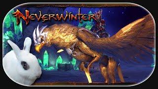 NEVERWINTER: 54x Schatzlade der Sternenlichtbewaffnung & Prüfung der Götter