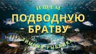 КИВОК УСТАЛ КИВАТЬ, НАШЛИ ДОЛГОЖДАННЫХ ПЛОТВИЧЕК | РЫБАЛКА 2025 #рек #зимняярыбалка #fishing