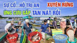 SỰ CỐ NHỜ ỨNG CỨU GẤP TRÊN HỒ TRỊ AN - PHIÊU LƯU XUYÊN RỪNG MÃ ĐÀ KHÁM PHÁ LÀNG CÁ SUỐI TƯỢNG