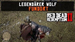 Red Dead Redemption 2 - Legendärer Wolf - Fundort