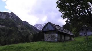 Wandern im Bärental - Narzissenwiese