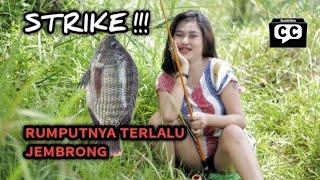 MANCING NILA DI BEKAS TAMBANG EMAS