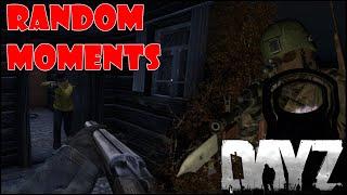 DayZ - [Рандомные моменты 6]