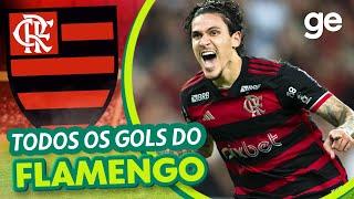 TODOS OS GOLS DO FLAMENGO NO BRASILEIRÃO 2024 | LISTAS | ge.globo