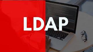 what is lightweight Directory access protocol ( LDAP } ?