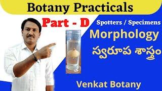 Botany Practicals | Part - D | Morphology Spotters & Specimens | వృక్షశాస్త్రం