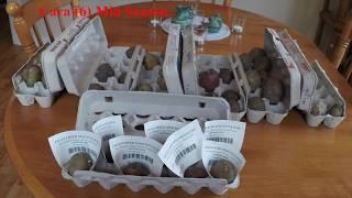 Twelve Varieties of Potatoes and an update