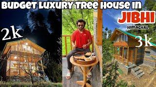 Amazing tree house in Jibhi , himachal | budget tree house | jibhi