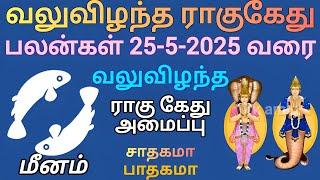 meenam valuvizhantha rahu kethu palangal 25-5-2025 varai #jrkamlu #horoscope #horoscopo #astro #rasi