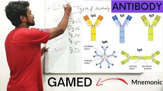 Antibody | Immunoglobin | Agglutinin | Structure | Function | Types | एंटीबॉडी क्या है?