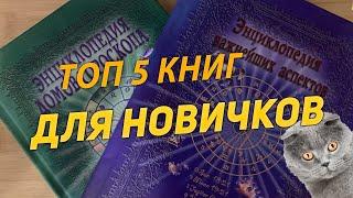 Топ 5 книг для новичков в астрологии. Язык звезд