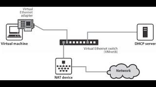 VMware Workstation Networking and Different Types of Virtual Network Adapters