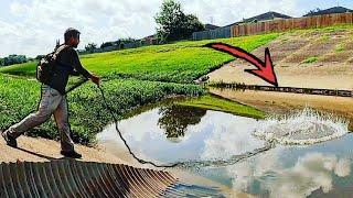 What Happens If You Cast Net a Neighborhood Drainage Ditch???