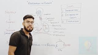 LEC-05 | RESPIRATION IN HUMANS  | JKSSB ACCOUNTS ASSISTANT | JKSSB | JKSSB CLASS-4TH | SSC | (JKSSB)