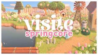  Visite île printanière très jolie (springcore) - Animal Crossing New Horizons