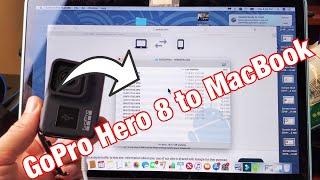 GoPro Hero 8: How to Transfer Videos to Macbook (Apple Computer)