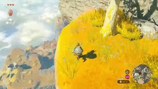 Safely skydive down water in The Legend of Zelda: Tears of the Kingdom