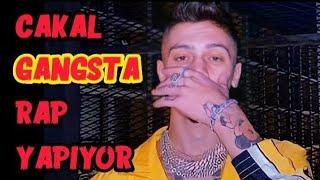 Çakal gangsta rap yapıyor