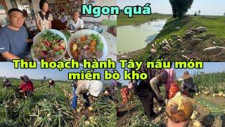 #431Thu hoạch Khoai Tây,Nấu Món Miến Bò Kho,Ba Mẹ Chồng Trung Quốc ăn hết tô,Ngon quá Con