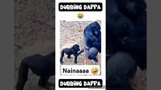 Nainaaa  #funny #shorts #comedy #shortsfeed #monkey #funnyanimals #animalvideos #monkeyvideo #pets