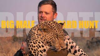 Hunting Leopard in Namibia