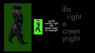 gorilla running right side | green screen no copyright | sunny khude green screen | 21 September 23