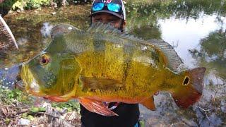 Catching GIANT Peacock Bass and ZOMBIE FISH!!!