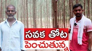 10 సంవత్సరాలుగా సవక సాగు చేస్తున్న