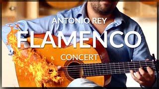 Antonio Rey - Flamenco Concert by the 2020 Latin Grammy Award guitarist