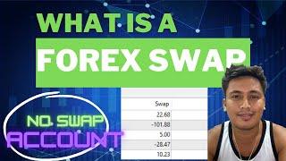 What is Swap in Forex? Swap Free Account