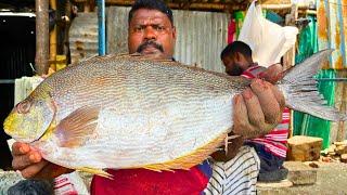 KASIMEDU  SPEED SELVAM | RARE HEN FISH CUTTING VIDEO | IN KASIMEDU | FF CUTTING 