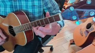 The Congress Reel, Tenor Guitar. Irish traditional music.