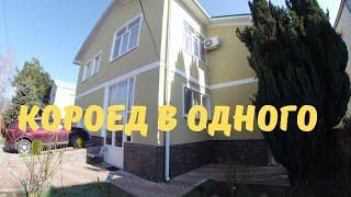 Большой объем короеда в одного #стыкуемшов, #короед