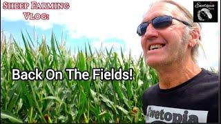 Back On The Fields | Cutting Alfalfa Hay| Crop Talk