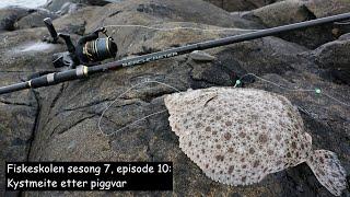 Fiskeskolen sesong 7, episode 10: Kystmeite etter piggvar