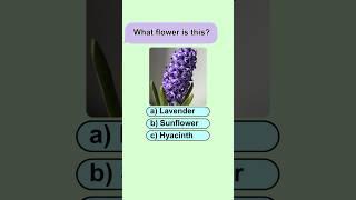 Can you name this flower?