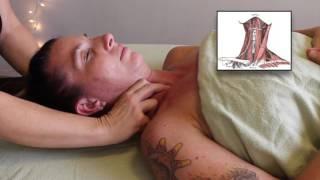 Massage Tutorial: ADVANCED TMJ SOFT TISSUE WORK