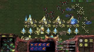 100%진경기 유닛1마리 떄매 대역전이네 ㅋㅋㅋㅋ Leto 스타팀플 헌터 Hunter TeamPlay StarCraft