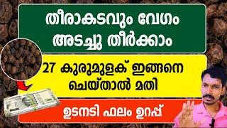 തീരാകടവും വേഗത്തിൽ വീട്ടാൻ 27 കുരുമുളക് ഇതുപോലെ ചെയ്താൽ മതി.Easy way to pay off debt.