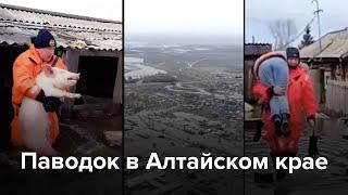 Паводок в Алтайском крае