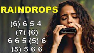 RAINDROPS KEEP FALLING ON MY HEAD HARMONICA ( C DIATONIC ) ARMÓNICA C TABS BLUES HARP C GAITA BOCA C