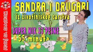  Sandra i drugari iz životnjskog carstva  Pevaj Sa Sandrom | Dečije pesme | Dečije priče