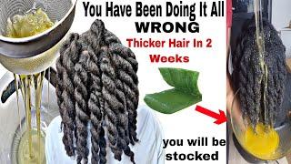 NO JOKE!OVERNIGHT Hair Growth Treatment! How to use Aloe Vera fenugreek n Cloves to Boost HairGrowth