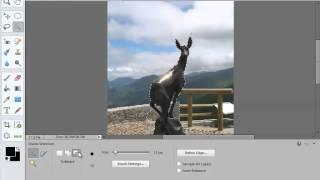 Learn how to use Photoshop Elements 11 - Part 35 -  How to Use the Quick Selection Tool