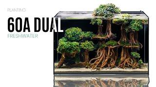 UNS 60A Dual All-in-One Aquarium - Planting a Bonsai Tree Aquarium Setup