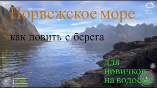 Русская Рыбалка 4  Норвежское море Как ловить с Берега (для новичков)