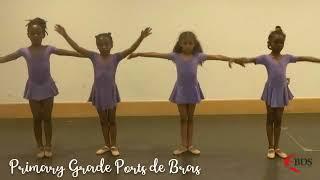 IDTA Primary Ballet Ports de Bras BDS