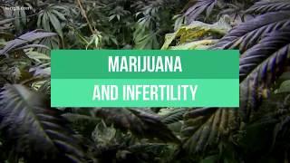 Marijuana and fertility